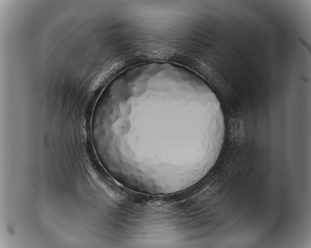 X0000101230634200807111121