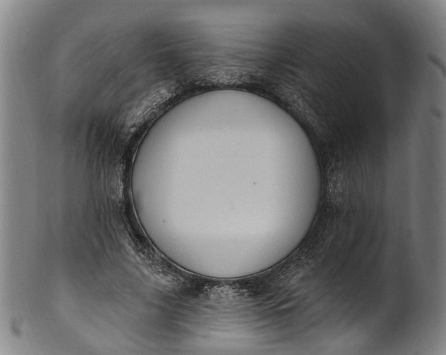 X0000101230635200807111121