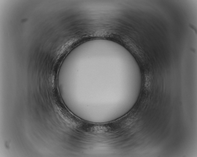 X0000101230636200807111121