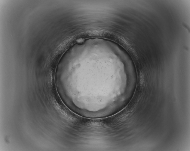 X0000101230637200807111121