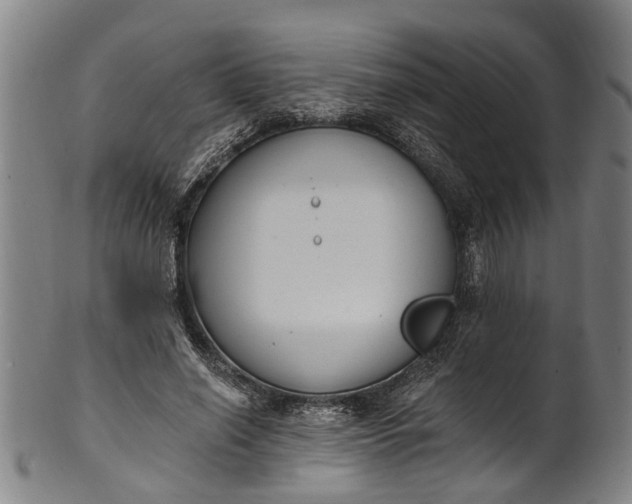 X0000101230638200807111121