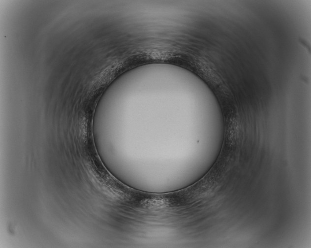 X0000101230639200807111121