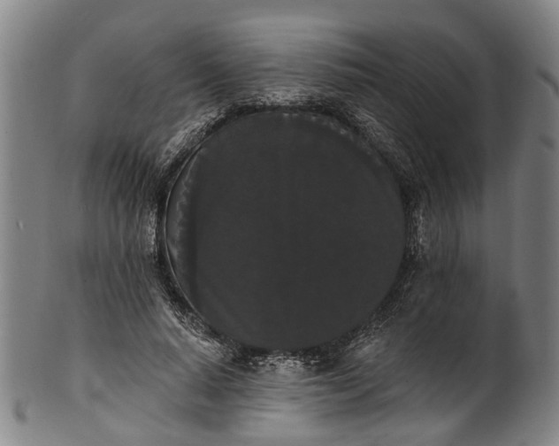 X0000101230640200807111121