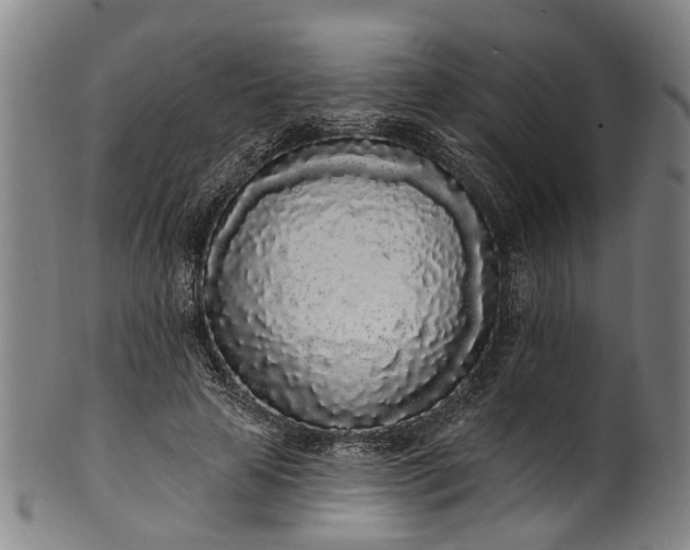 X0000101230641200807111121