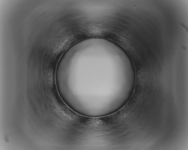 X0000101230642200807111121