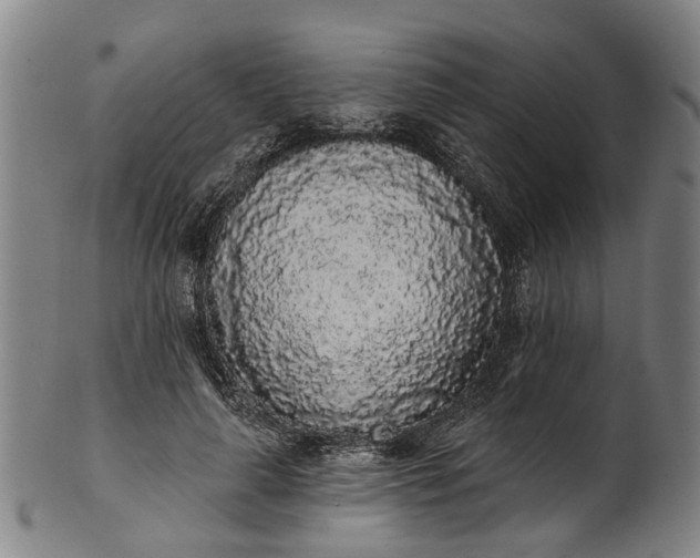 X0000101230643200807111121