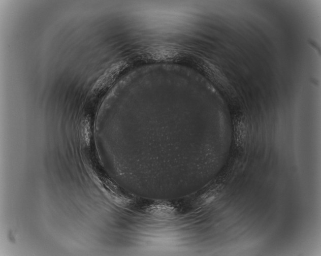 X0000101230644200807111121