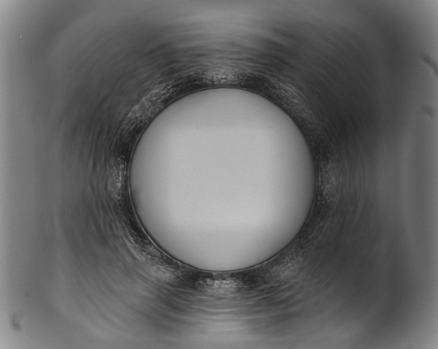 X0000101230645200807111121