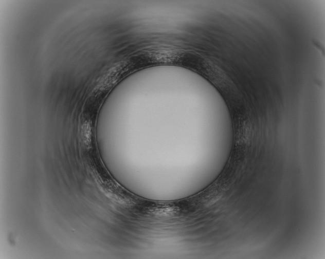 X0000101230646200807111121