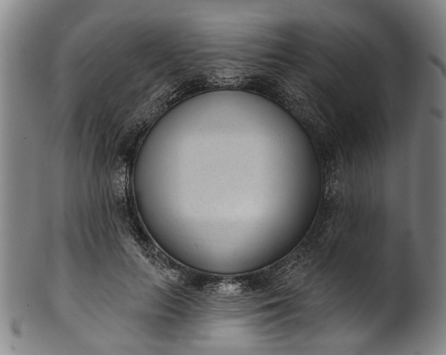 X0000101230647200807111121