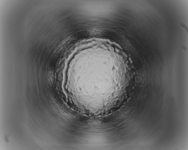 X0000101230648200807111121