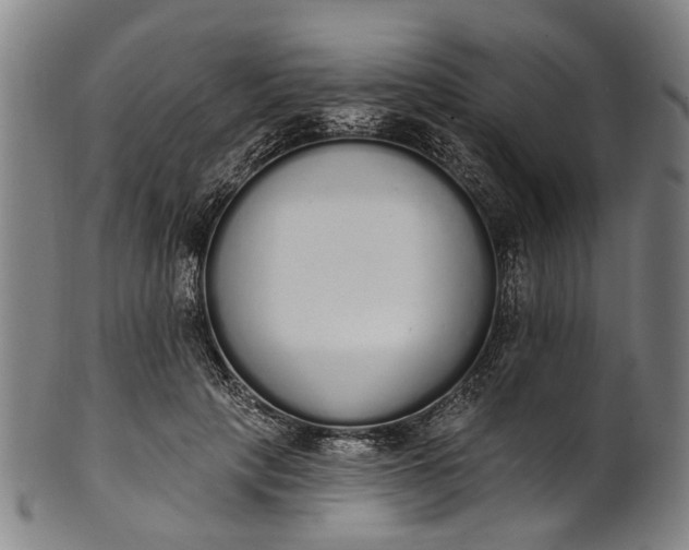 X0000101230649200807111121