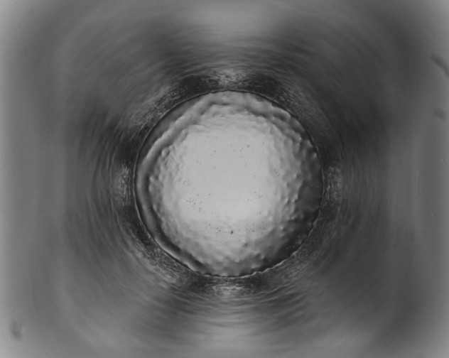 X0000101230650200807111121