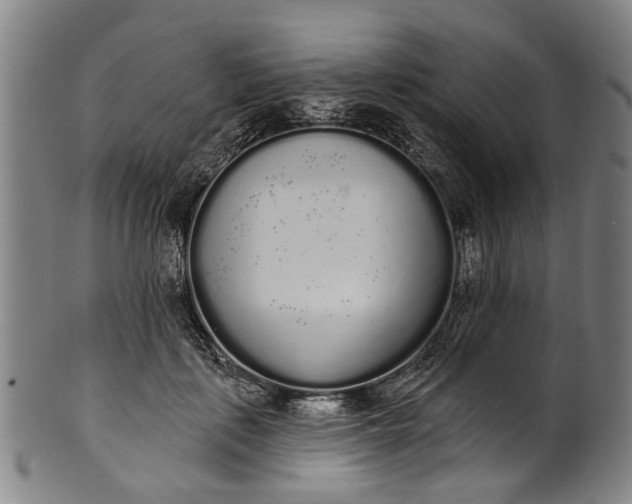 X0000101230651200807111121