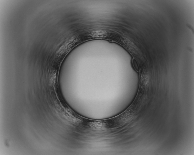 X0000101230652200807111121