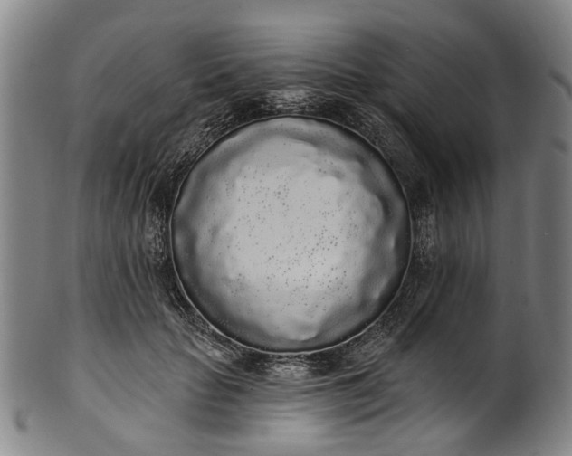 X0000101230653200807111121