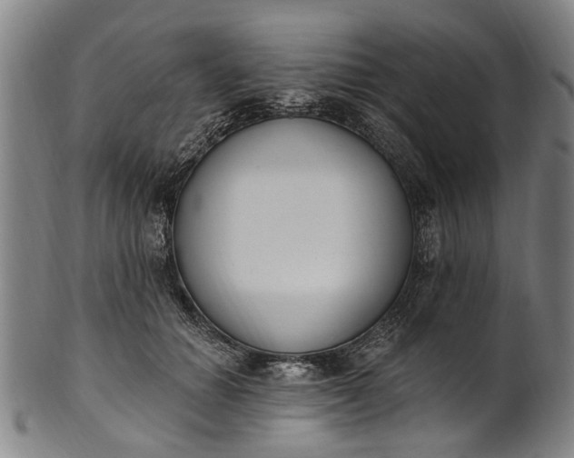 X0000101230654200807111121