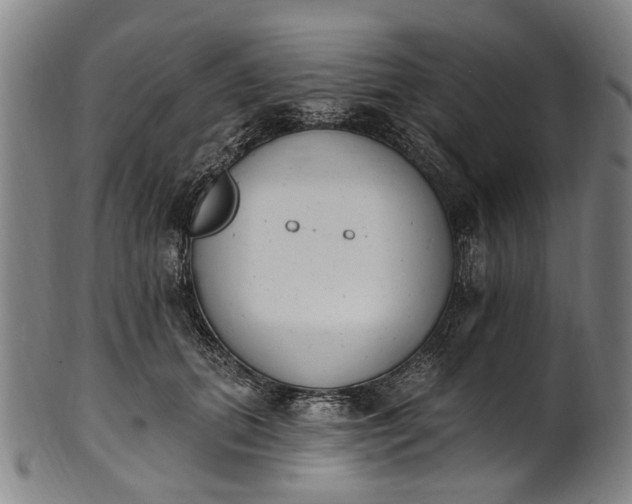 X0000101230655200807111121