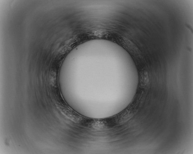 X0000101230656200807111121