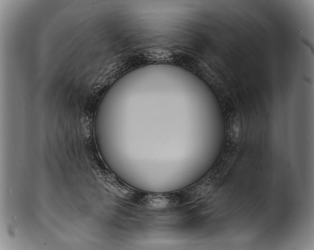 X0000101230658200807111121