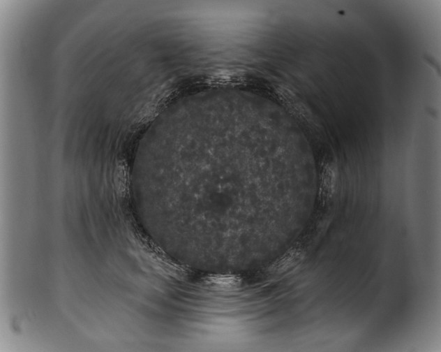 X0000101230659200807111121