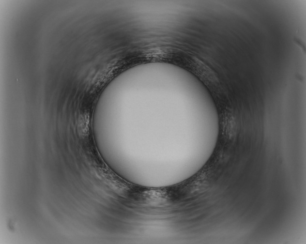 X0000101230660200807111121