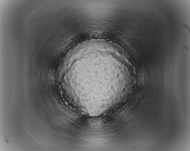 X0000101230661200807111121