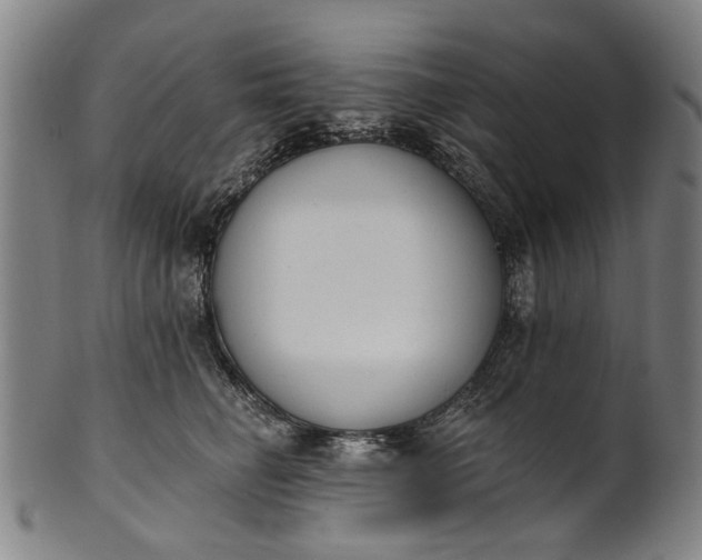 X0000101230662200807111121