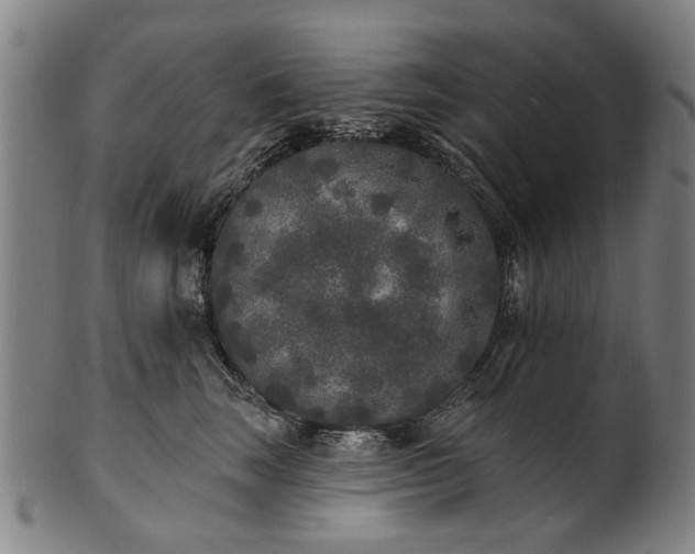 X0000101230663200807111121