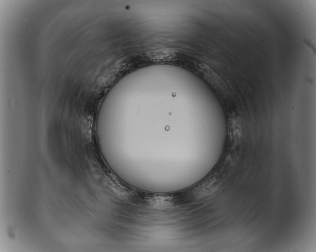 X0000101230664200807111121