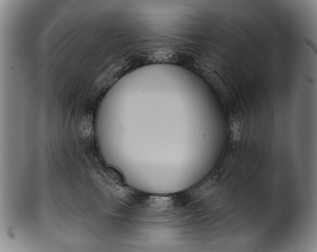 X0000101230665200807111121