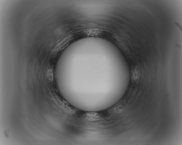 X0000101230666200807111121