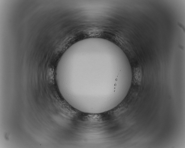 X0000101230667200807111121