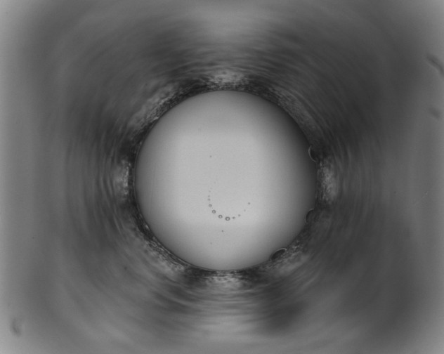 X0000101230668200807111121