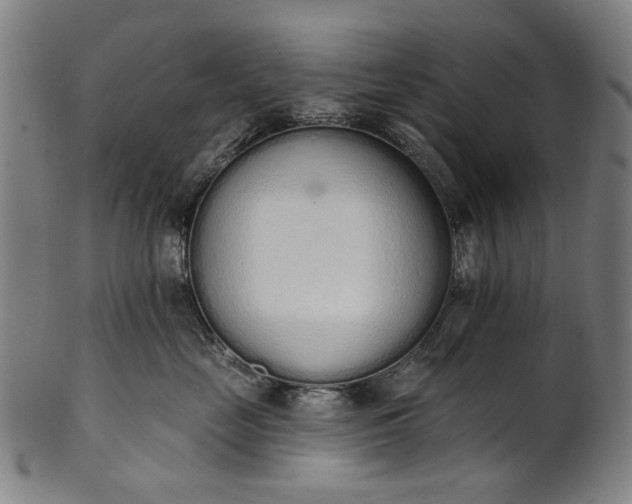 X0000101230669200807111121