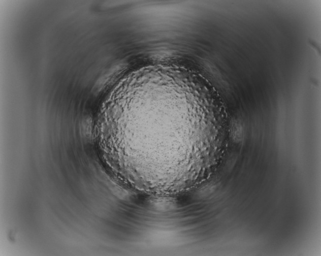 X0000101230670200807111121