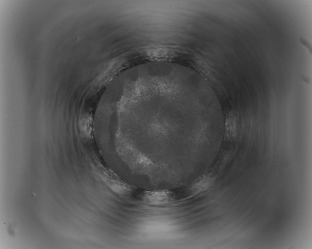 X0000101230671200807111121