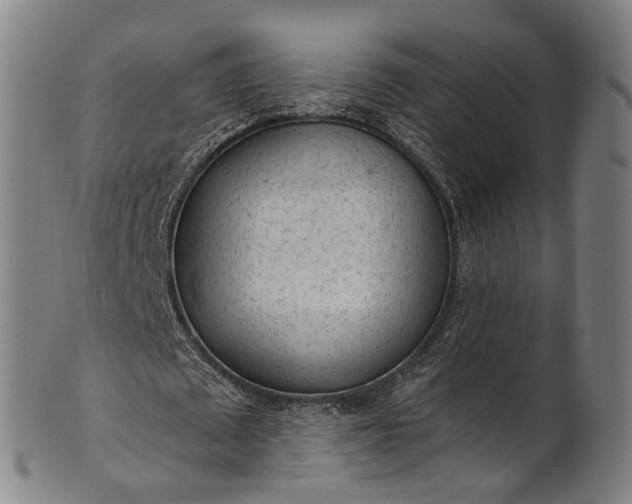 X0000101230673200807111121