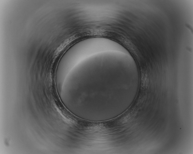 X0000101230674200807111121