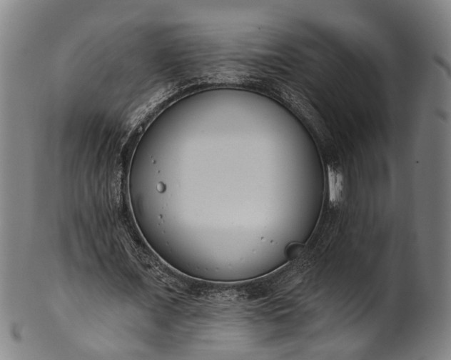 X0000101230675200807111121