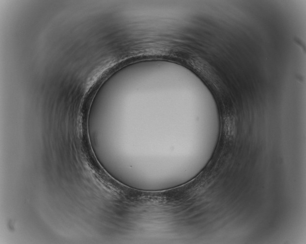 X0000101230676200807111121