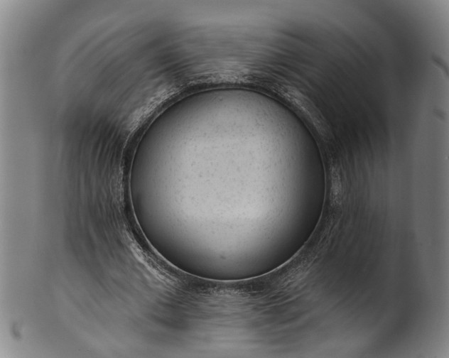 X0000101230677200807111121