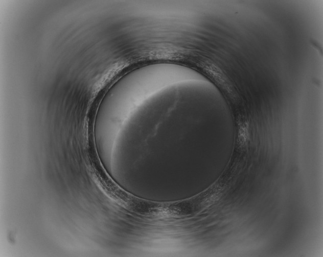 X0000101230678200807111121