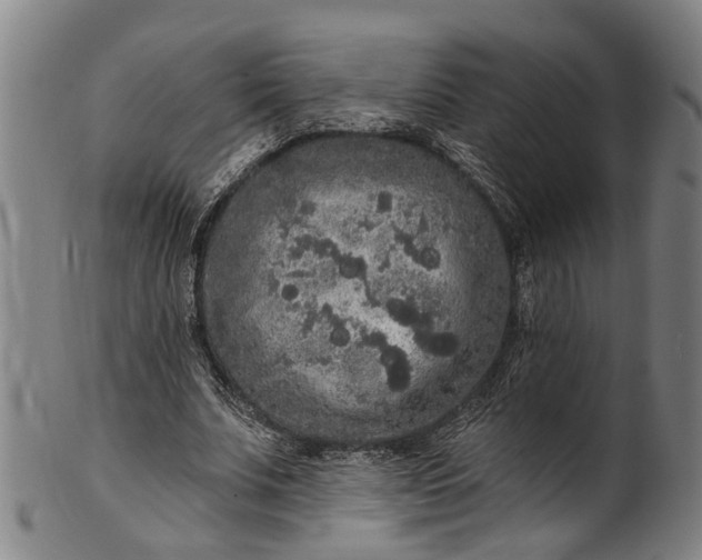 X0000101230679200807111121