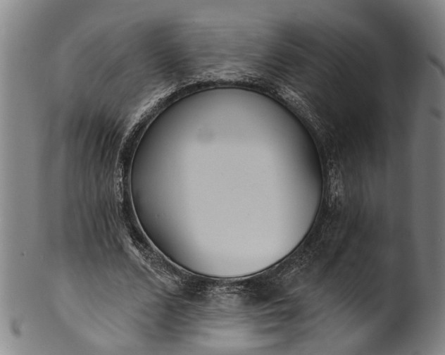 X0000101230680200807111121