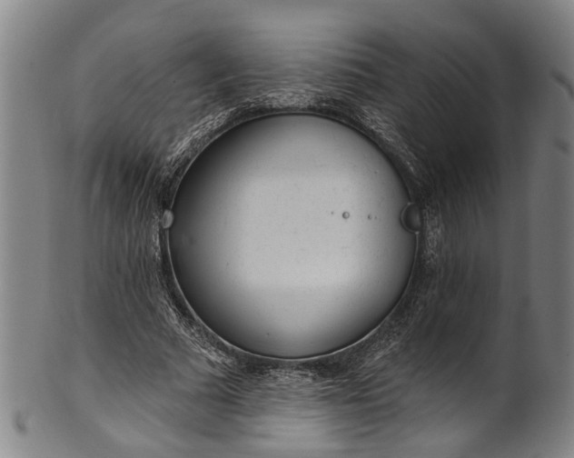 X0000101230681200807111120