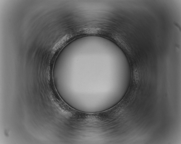 X0000101230682200807111120