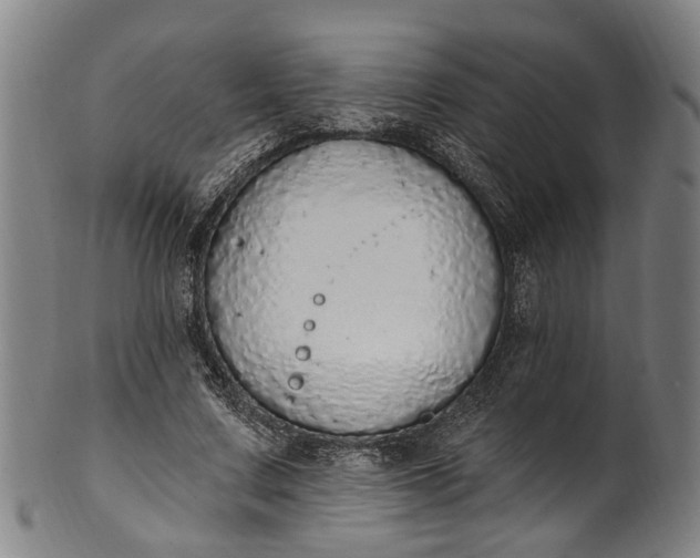 X0000101230683200807111120