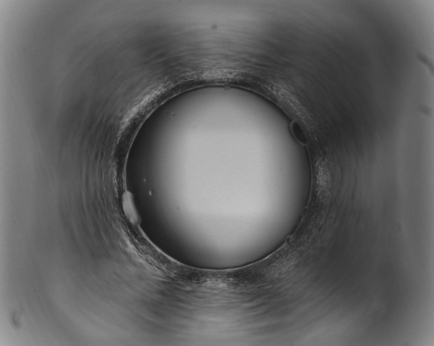 X0000101230684200807111120