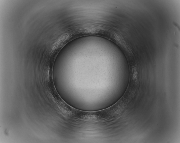 X0000101230685200807111120